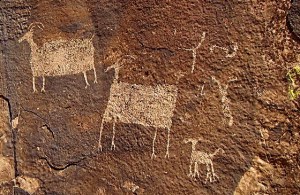 More Anasazi Ridge petroglyphs 