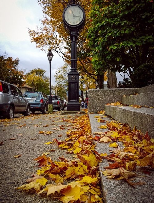 There's no question but that I'm in the autumn of my life. But then I think the fall is beautiful. Don't you? -- Photo by Pat Bean 