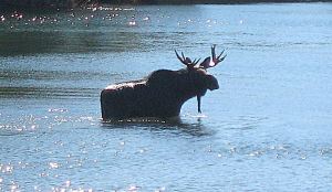 View from my RV at Wassamki Springs Campground in Maine. -- Photo by Pat Bean